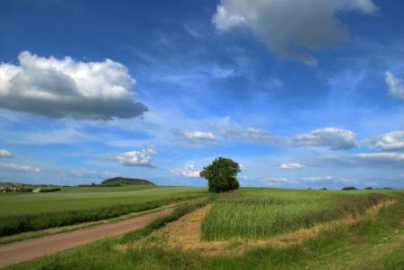 nature_road