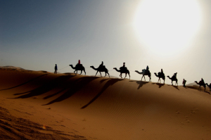 camel caravans