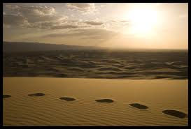 steps in desert