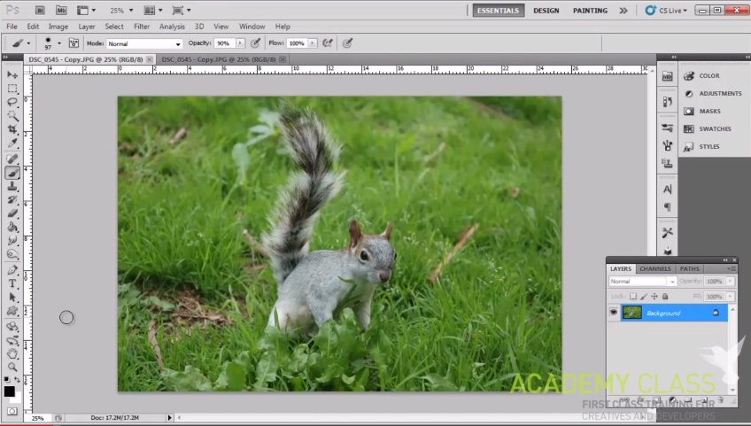 How to Tweak Photos like a Pro in Photoshop