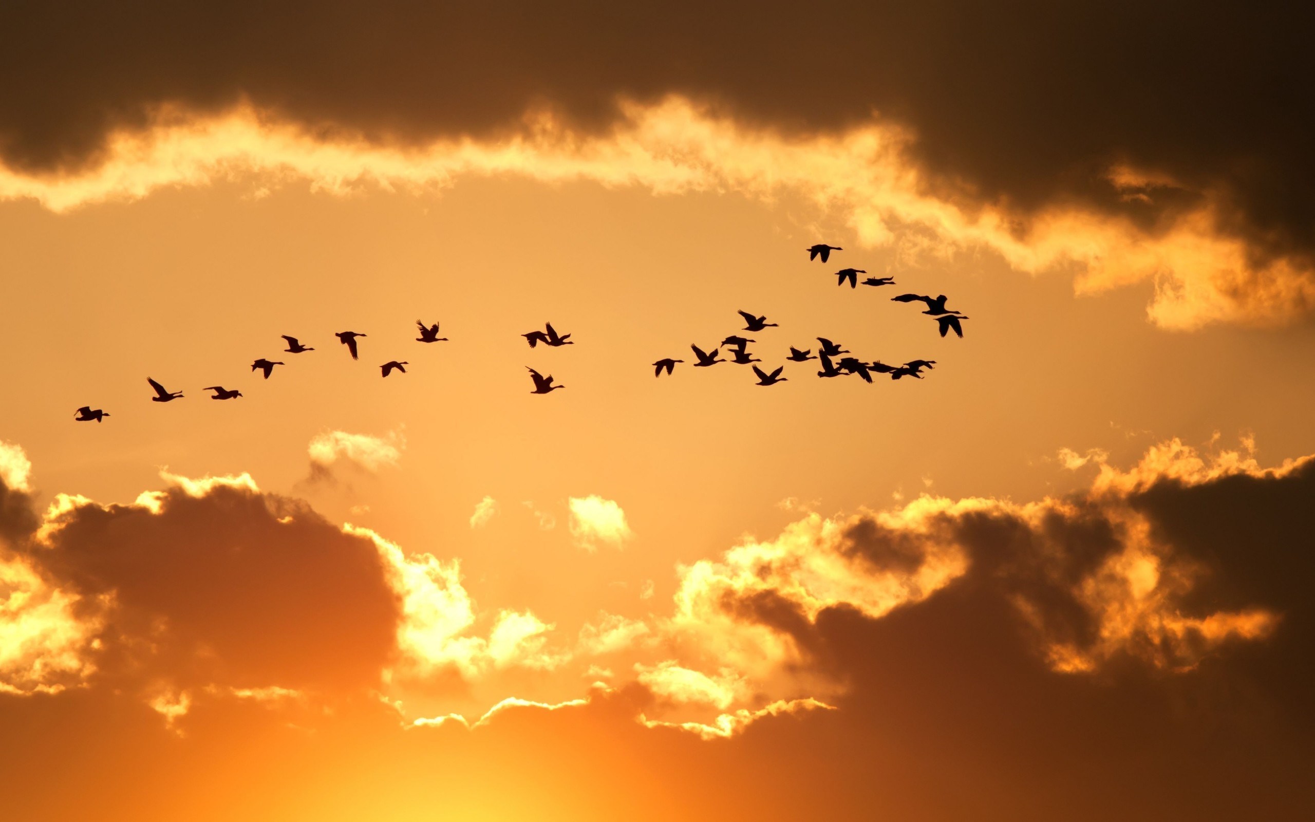 nature-sky