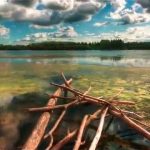 Lessons from Prophet Noah: His Educational Dialogue with His People