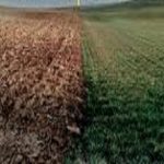 To Rebuke or Correct: Do You Have the Right?