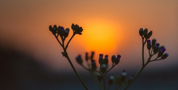 Erring out of Ignorance and Erring Despite One’s Knowledge