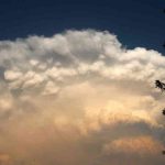 Life after Death: The Dialogue between Allah and `Uzair