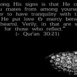 Does the Qur’an Justify Domestic Violence between Husband & Wife?