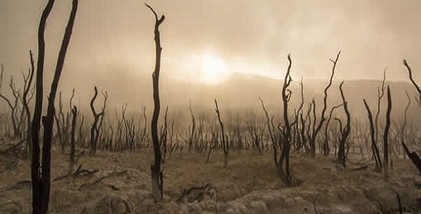 How to Avoid Useless Conversations and Idle Talks